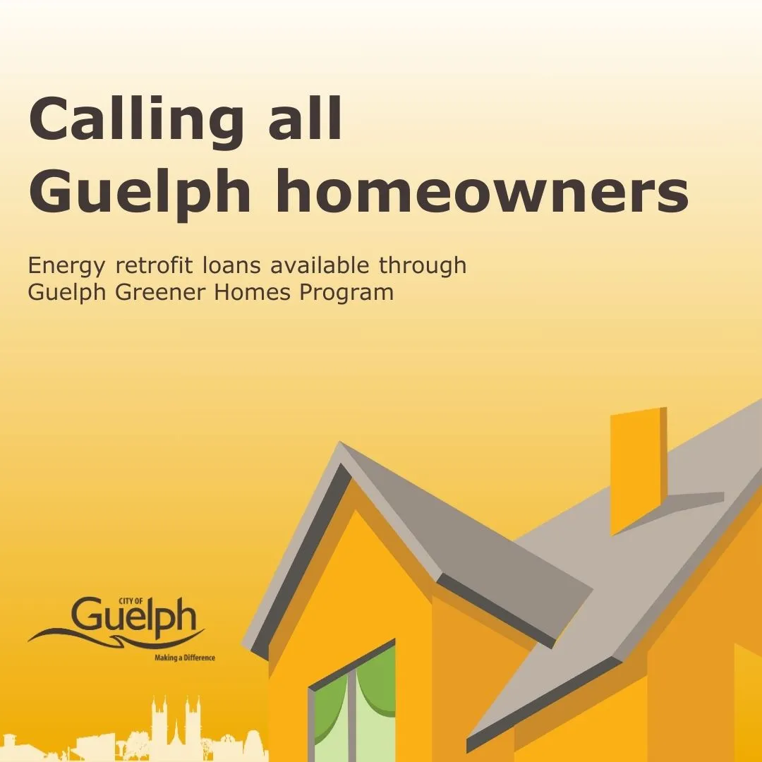 City Of Guelph — Sway portfolio