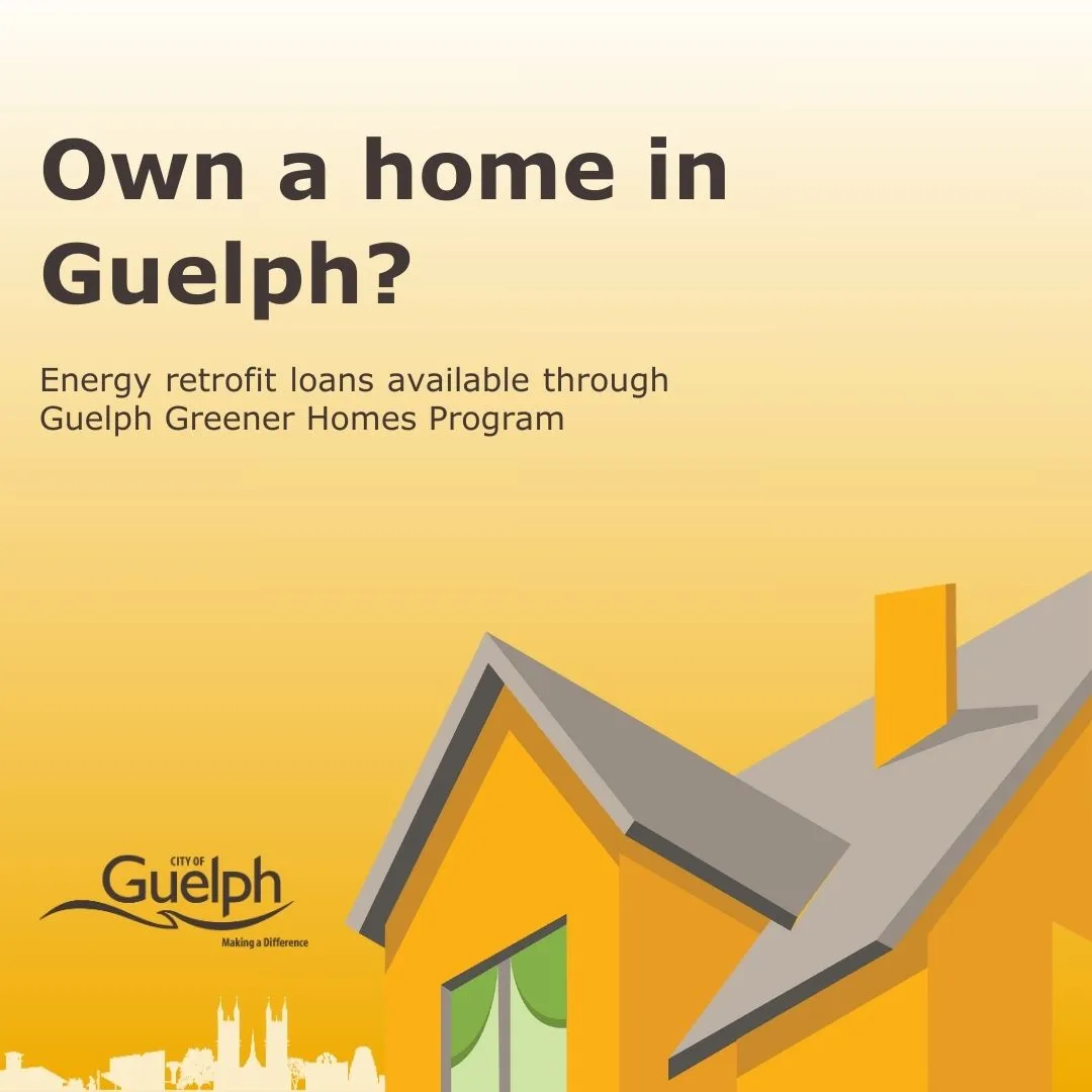 City Of Guelph — Sway portfolio