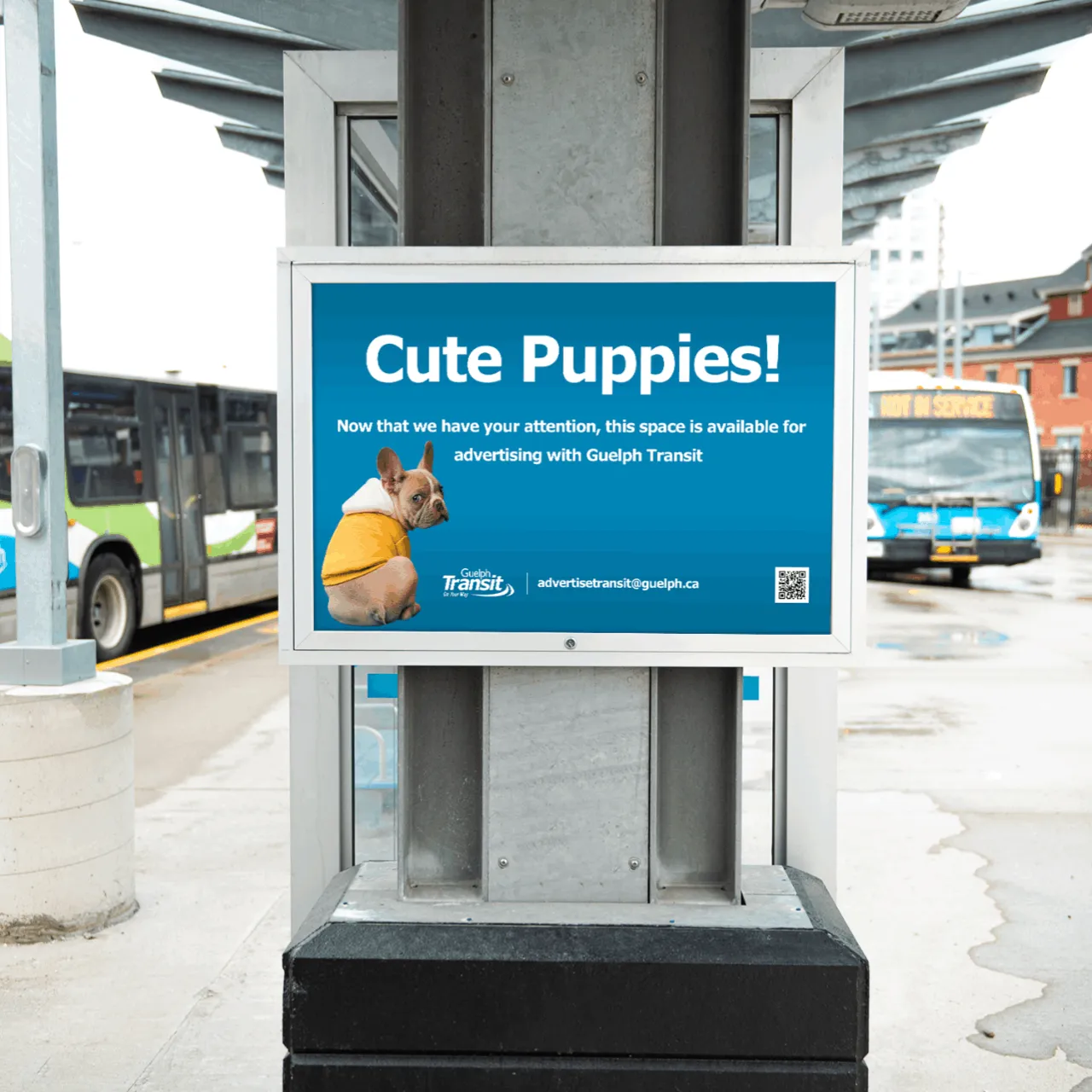 GT Images 032x — City Of Guelph case study