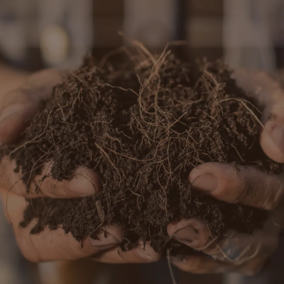 Miller Waste Systems — Sway portfolio