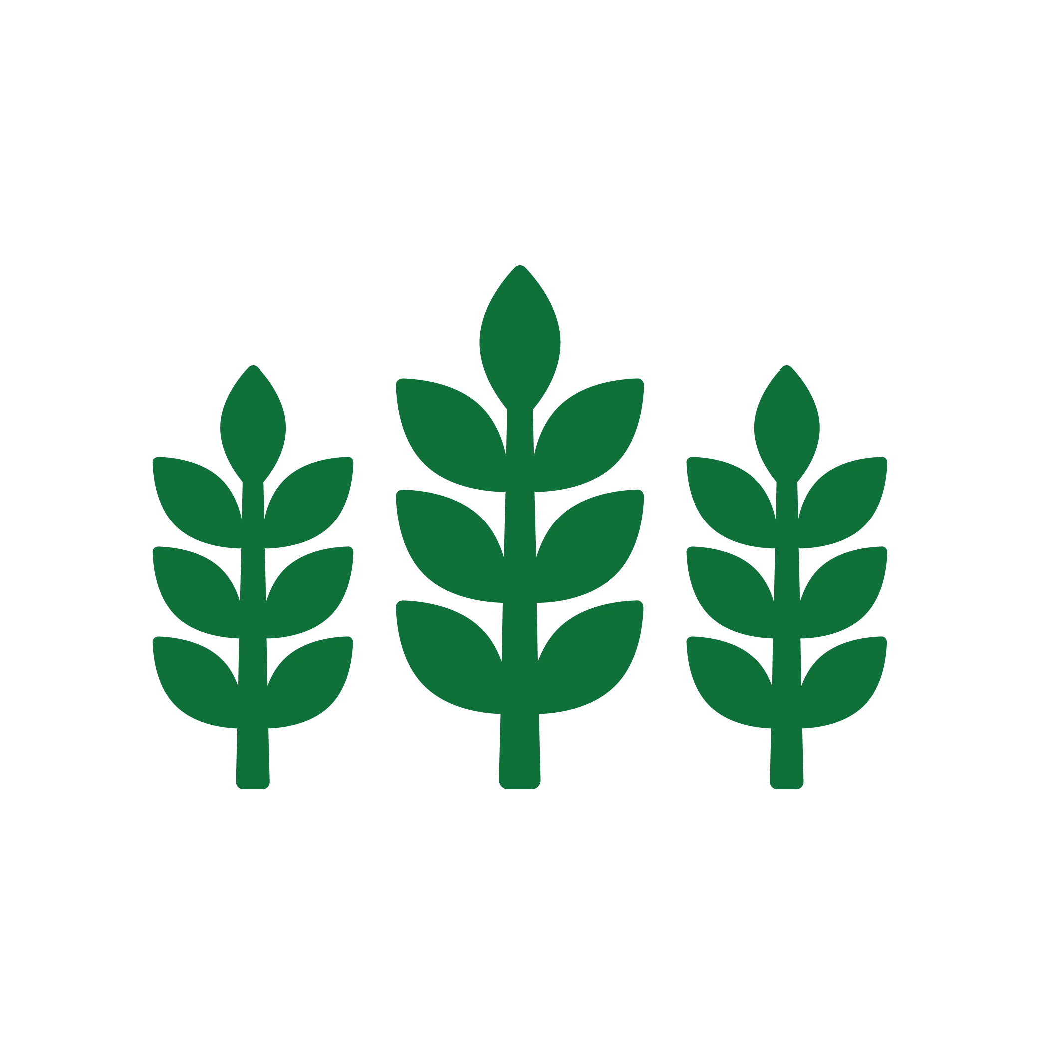 custom icon