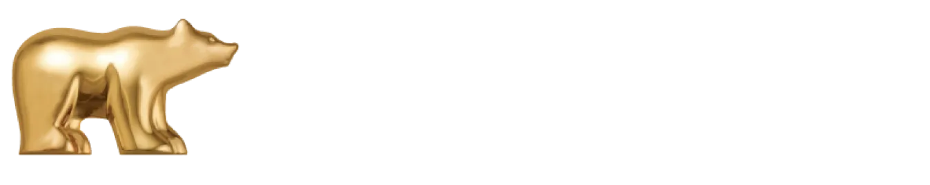 NIC companies logo