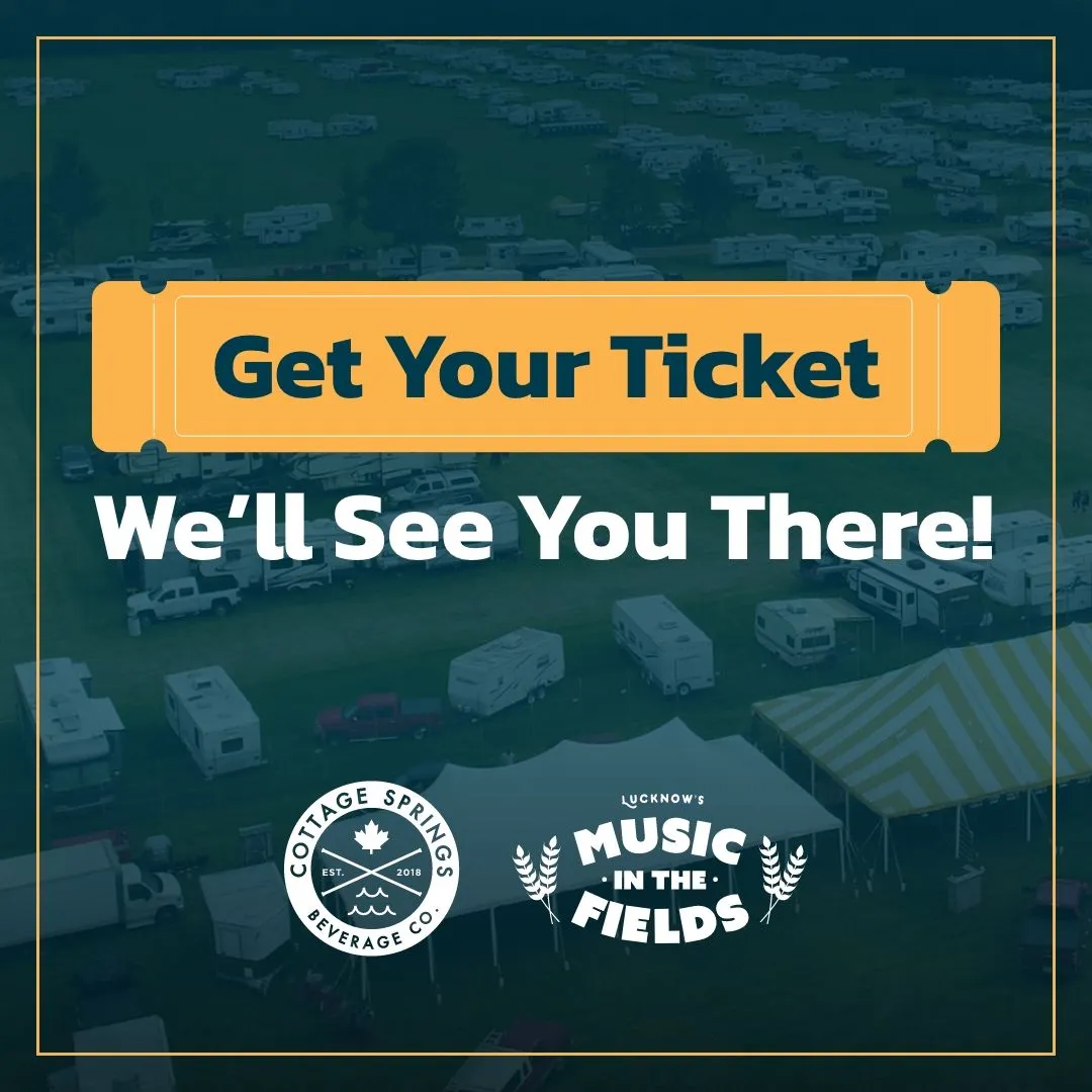 LMITF June Social Posts A — Lucknow Music In The Fields case study