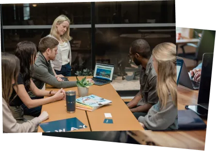 meet the team