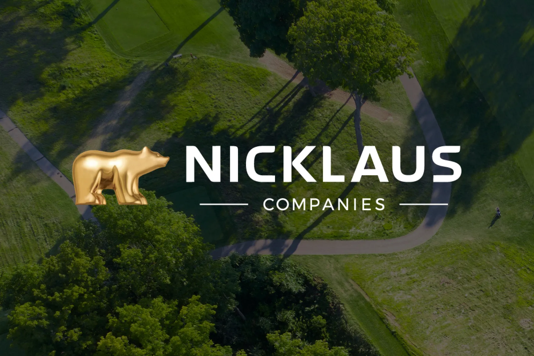 nic companies